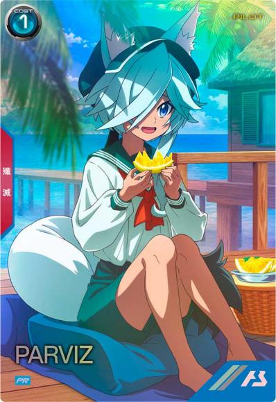 パルヴィーズ(PR)