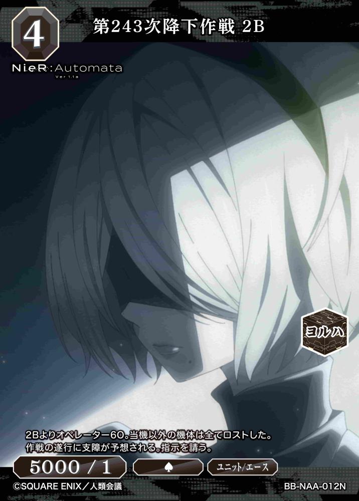 第243次降下作戦 2B
