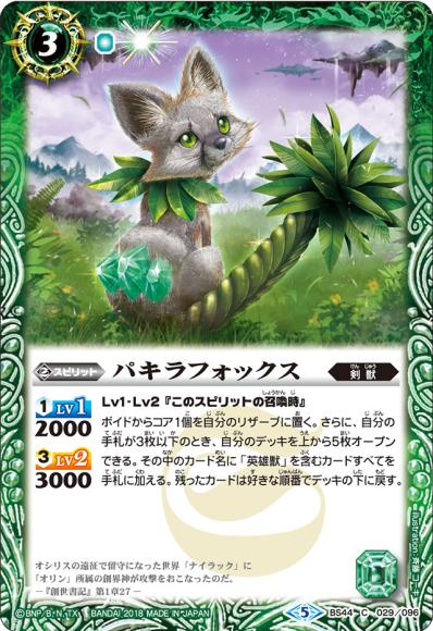 (キズあり特価品) パキラフォックス (2018)