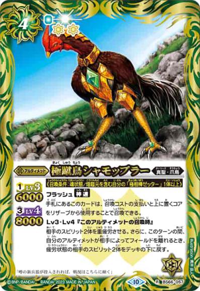 極蹴鳥シャモップラー