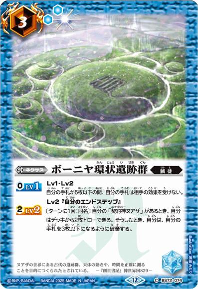 ボーニヤ環状遺跡群