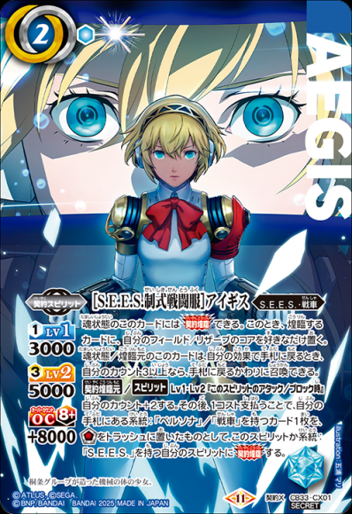 ［S.E.E.S.制式戦闘服］アイギス (SECRET)