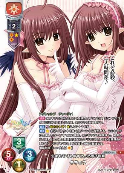 生まれてくるはずだった双子の妹 /キキョウ