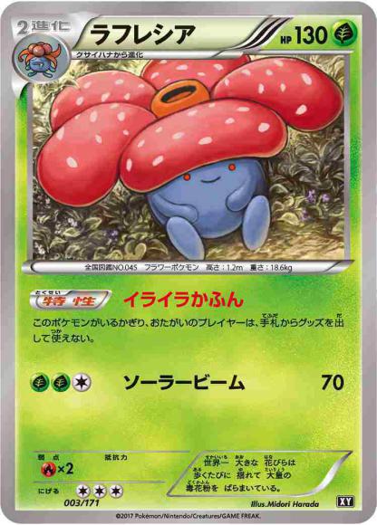 (キズあり特価品)ラフレシア(-)