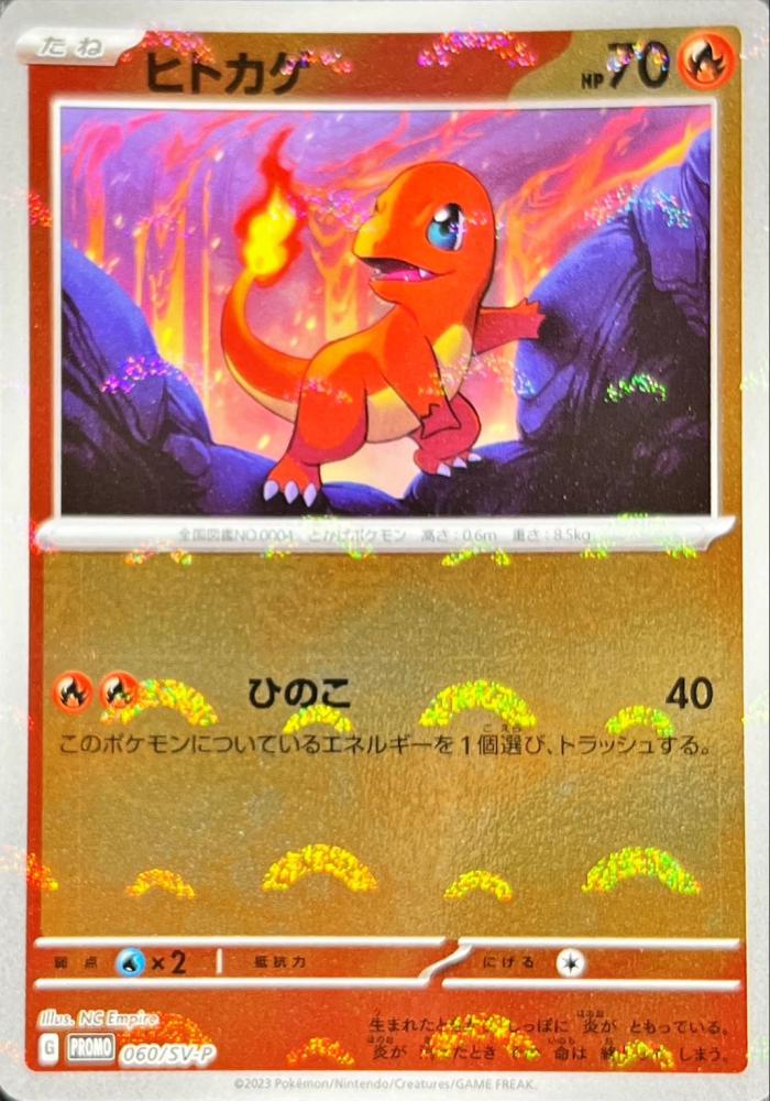 ヒトカゲ(P)