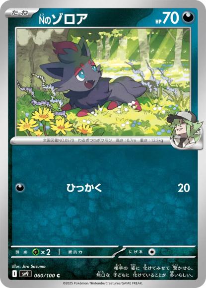 Nのゾロア(C)