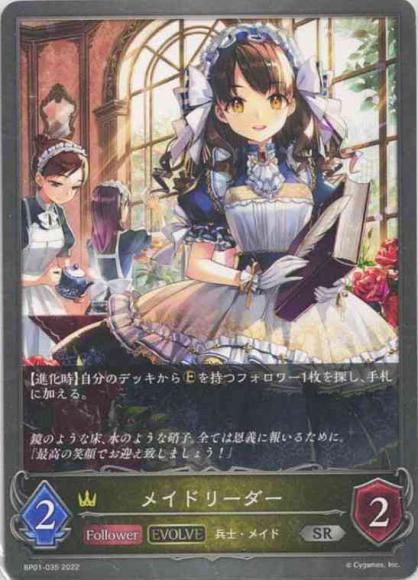 メイドリーダー(エボルヴ)