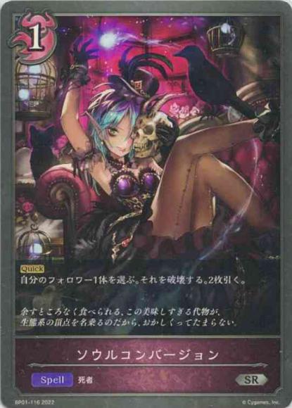 ソウルコンバージョン