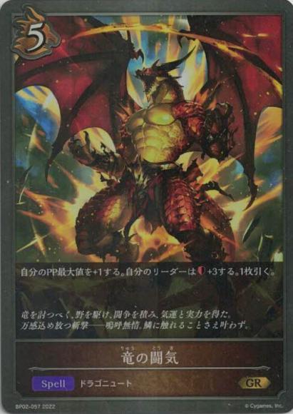 竜の闘気