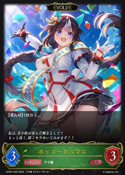 ホッコータルマエ(エボルヴ)