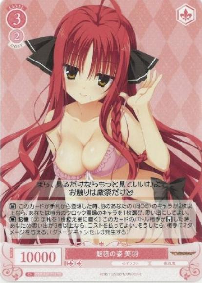 魅惑の姿 美羽