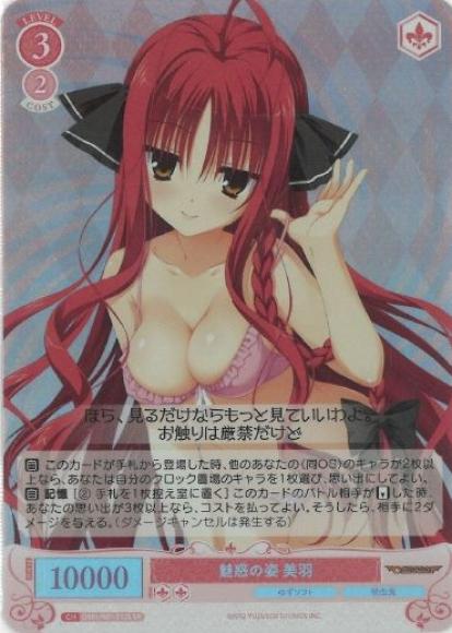 魅惑の姿 美羽