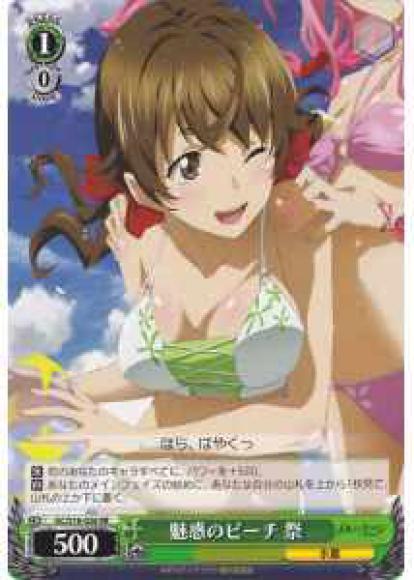 魅惑のビーチ 祭(RR)