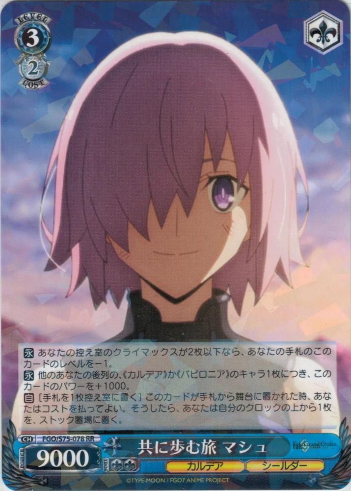共に歩む旅 マシュ（RR）