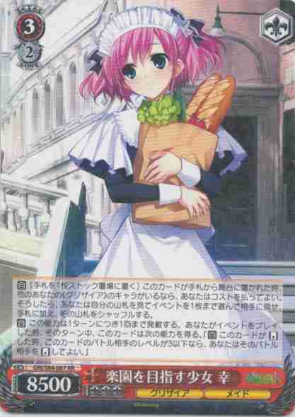 楽園を目指す少女 幸(RR)
