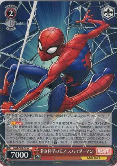 若き科学の天才 スパイダーマン（C）