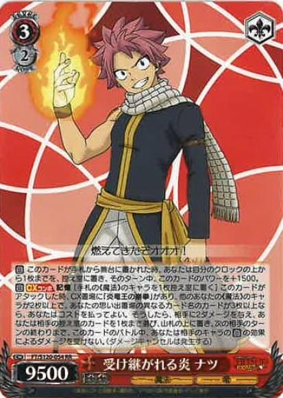 受け継がれる炎 ナツ(RR)