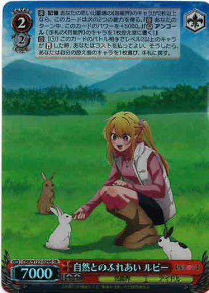 自然とのふれあい ルビー(SR)