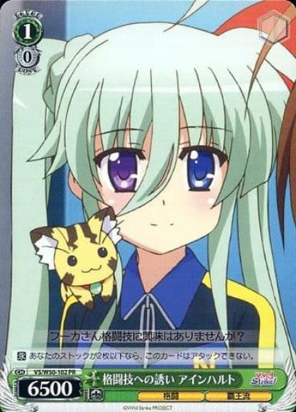 格闘技への誘い アインハルト（PR）