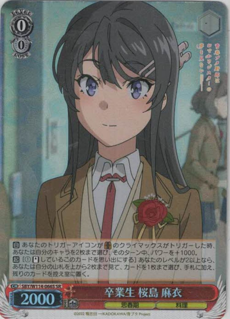卒業生 桜島 麻衣（SR）
