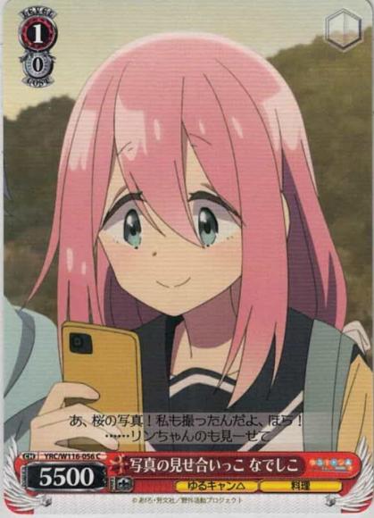写真の見せ合いっこ なでしこ（C)