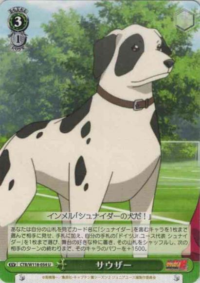 サウザー（U）