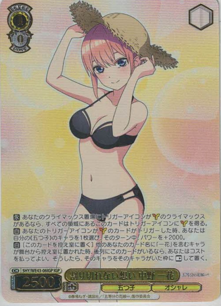 割り切れない想い 中野 一花(IGP)