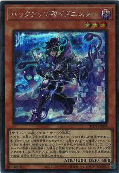 YG-ALIN-JP002SE.jpg