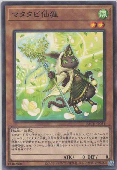 マタタビ仙狸(ノーマル)