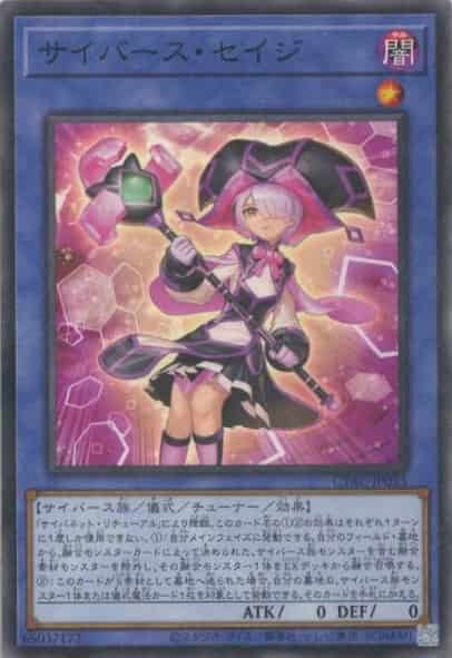 サイバース・セイジ(ノーマル)