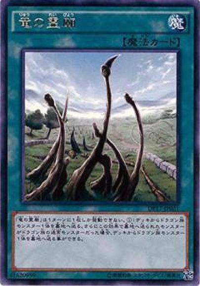 (キズあり特価品)竜の霊廟(レア)