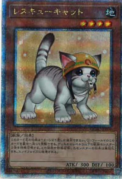 レスキューキャット(新イラスト)(クォーターセンチュリーシークレットレア)