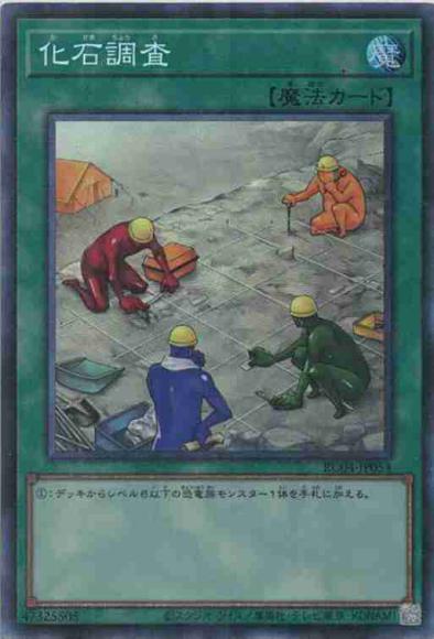 化石調査(コレクターズレア)