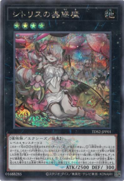 シトリスの蟲惑魔(シークレットレア)