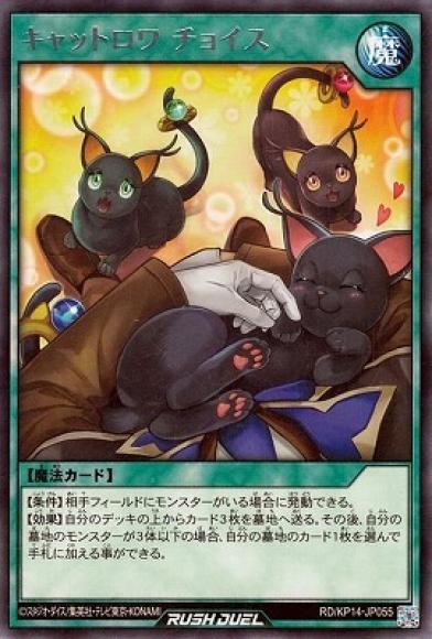 キャットロワ チョイス